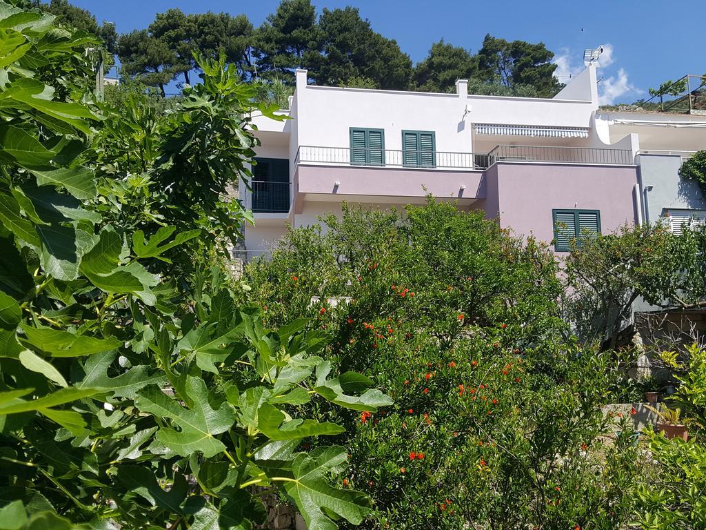Apartments Pero 伯德古拉 外观 照片